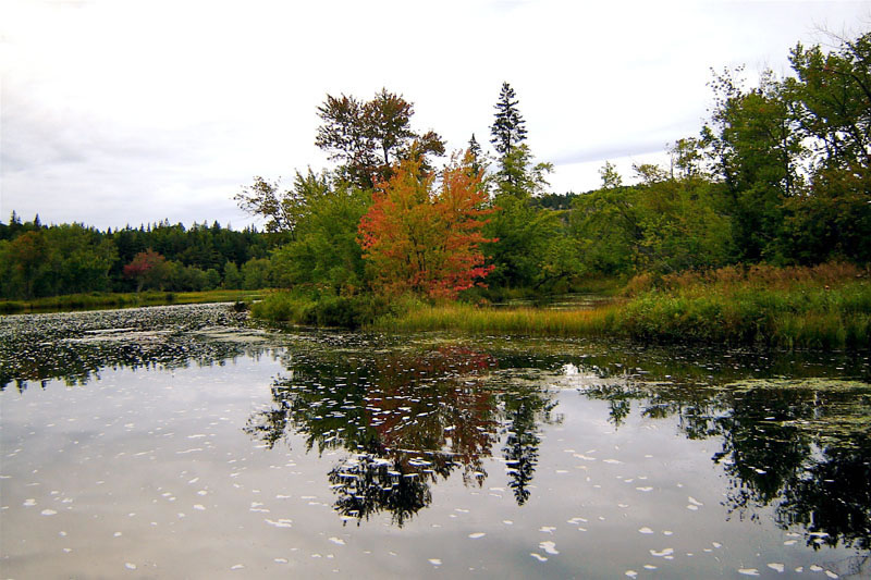 Agnew Lake