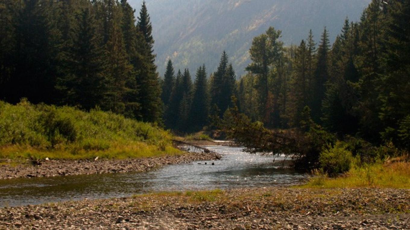 West Castle River