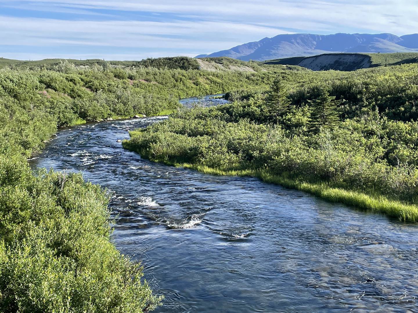 Gulkana River