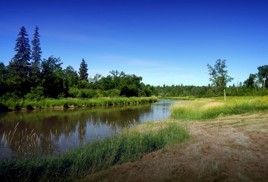 Icelandic River