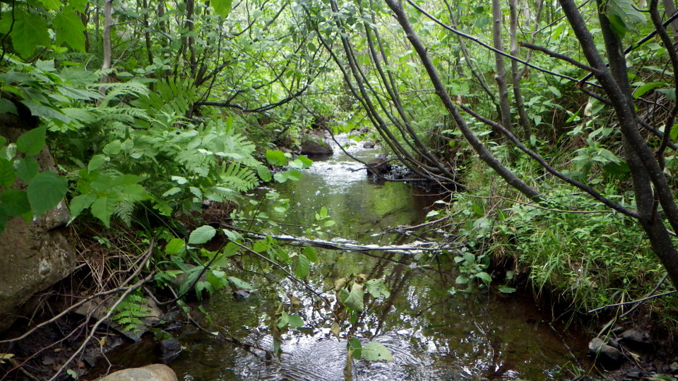 Ishkibbible Creek